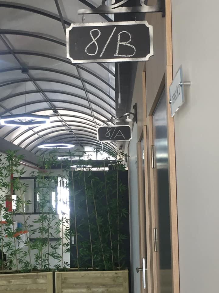 Görsel #2